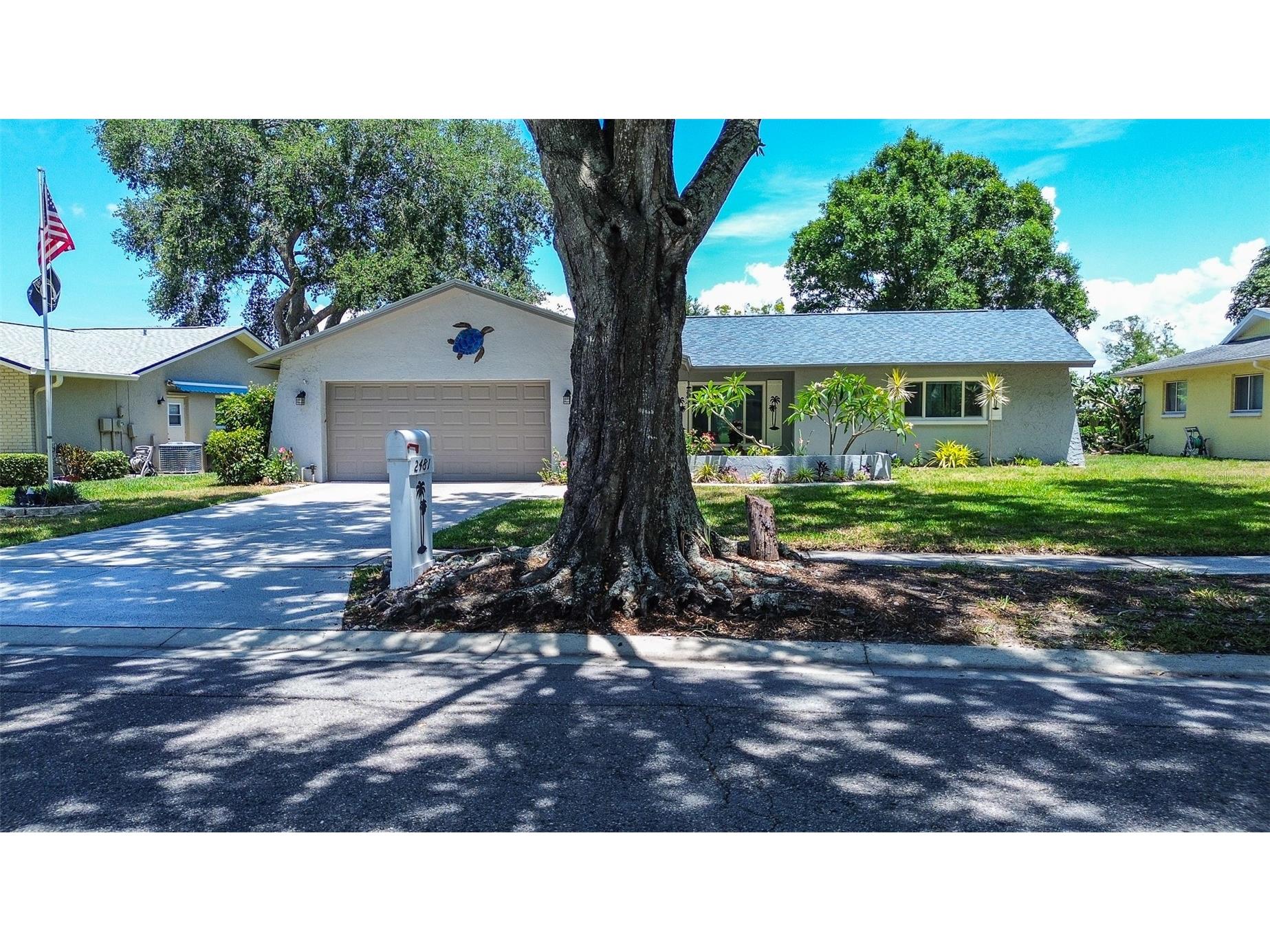 2481 Malcolm Drive Palm Harbor FL 34684 TB8509539 image44