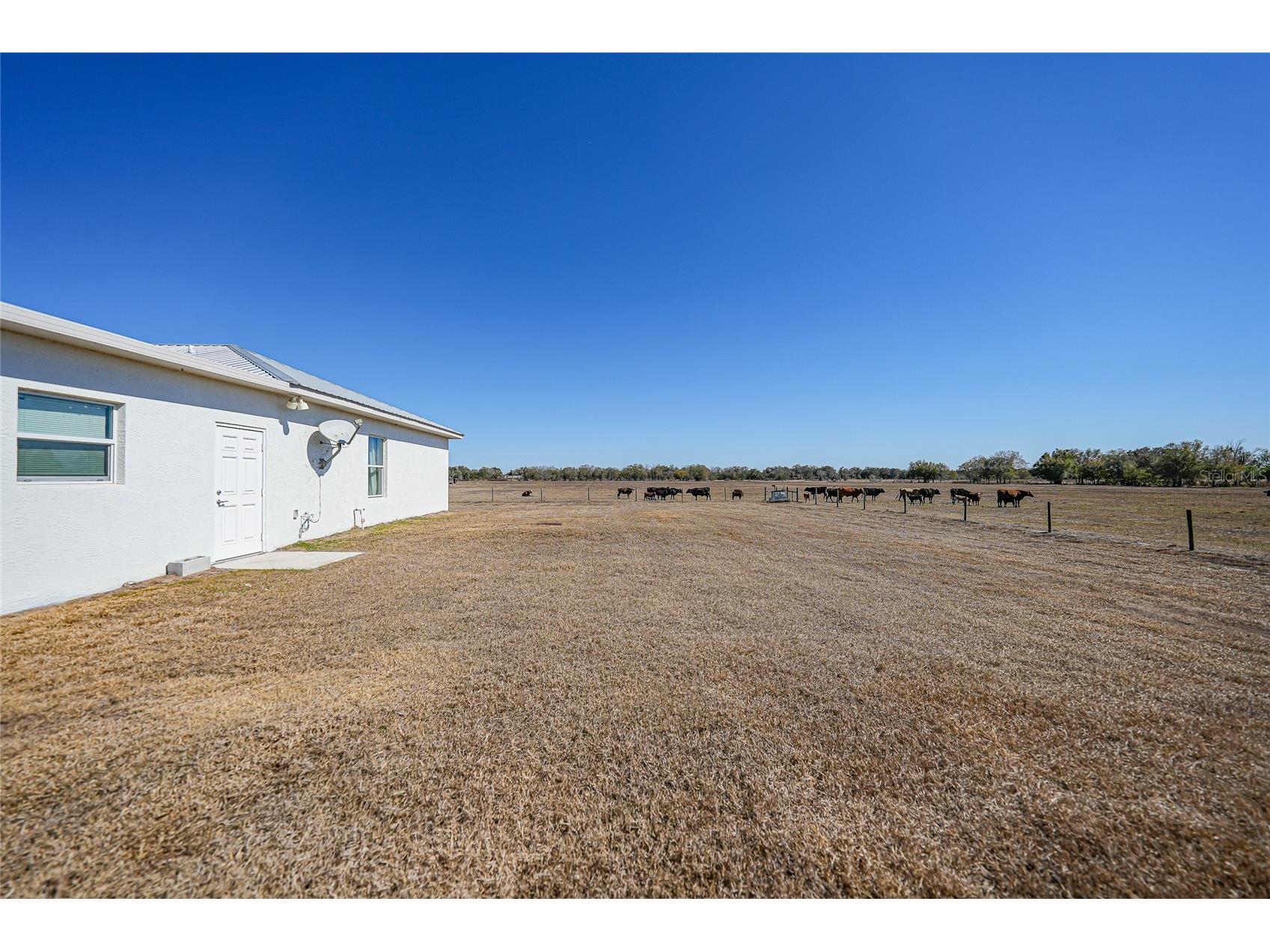 2481 NE Faye Terrace Arcadia FL 34266 C7521411 image42