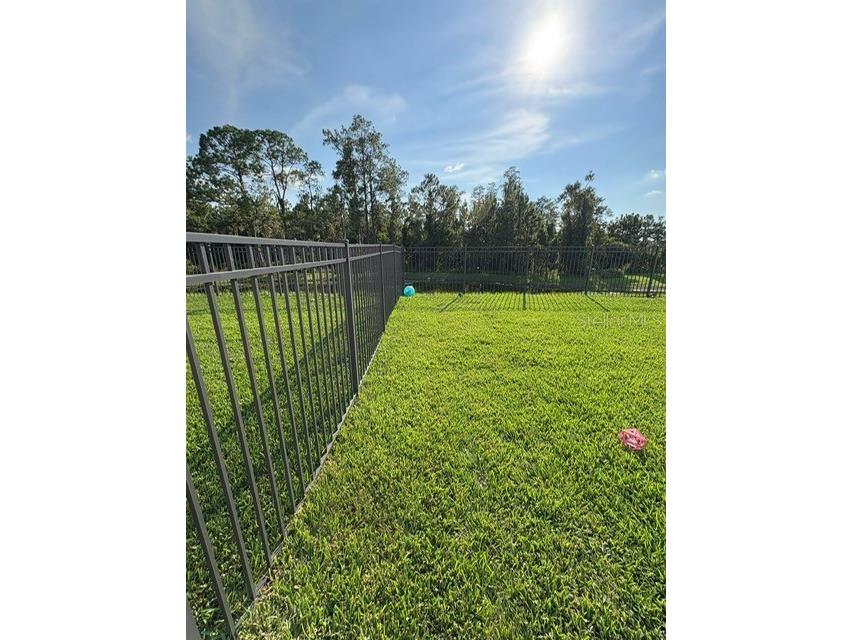 2481 Southlawn Lane Clermont FL 34714 - LAKE WINDOWS / HANCOCK LAKE S5133441 image21