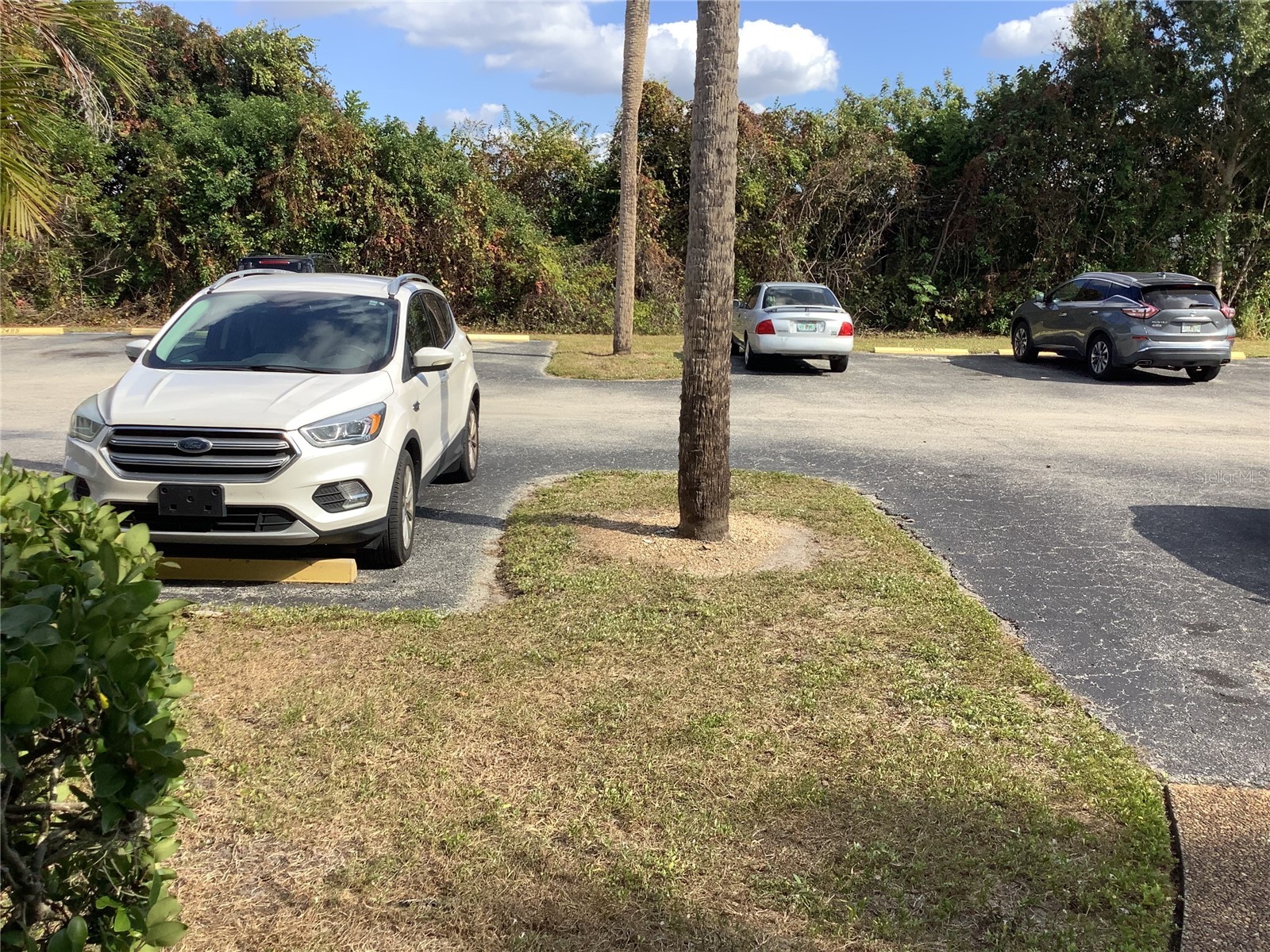 2481 Twin Drive #29 Sarasota FL 34234 A4672575 image9