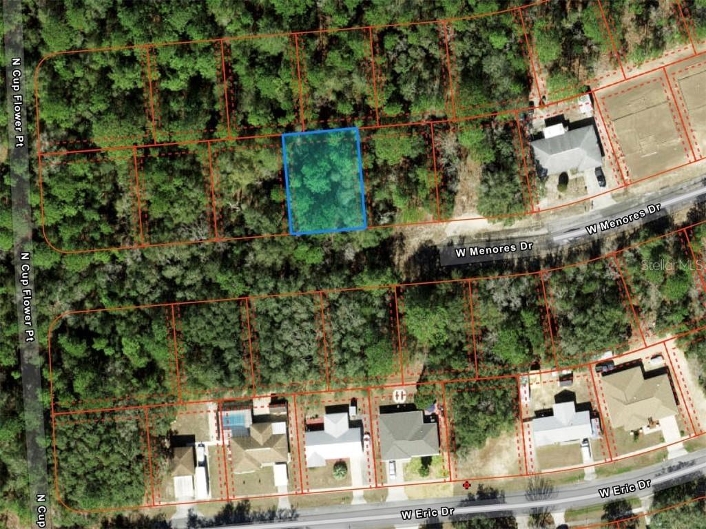 2481 W Menores Drive Citrus Springs FL 34434 O6341971 image1