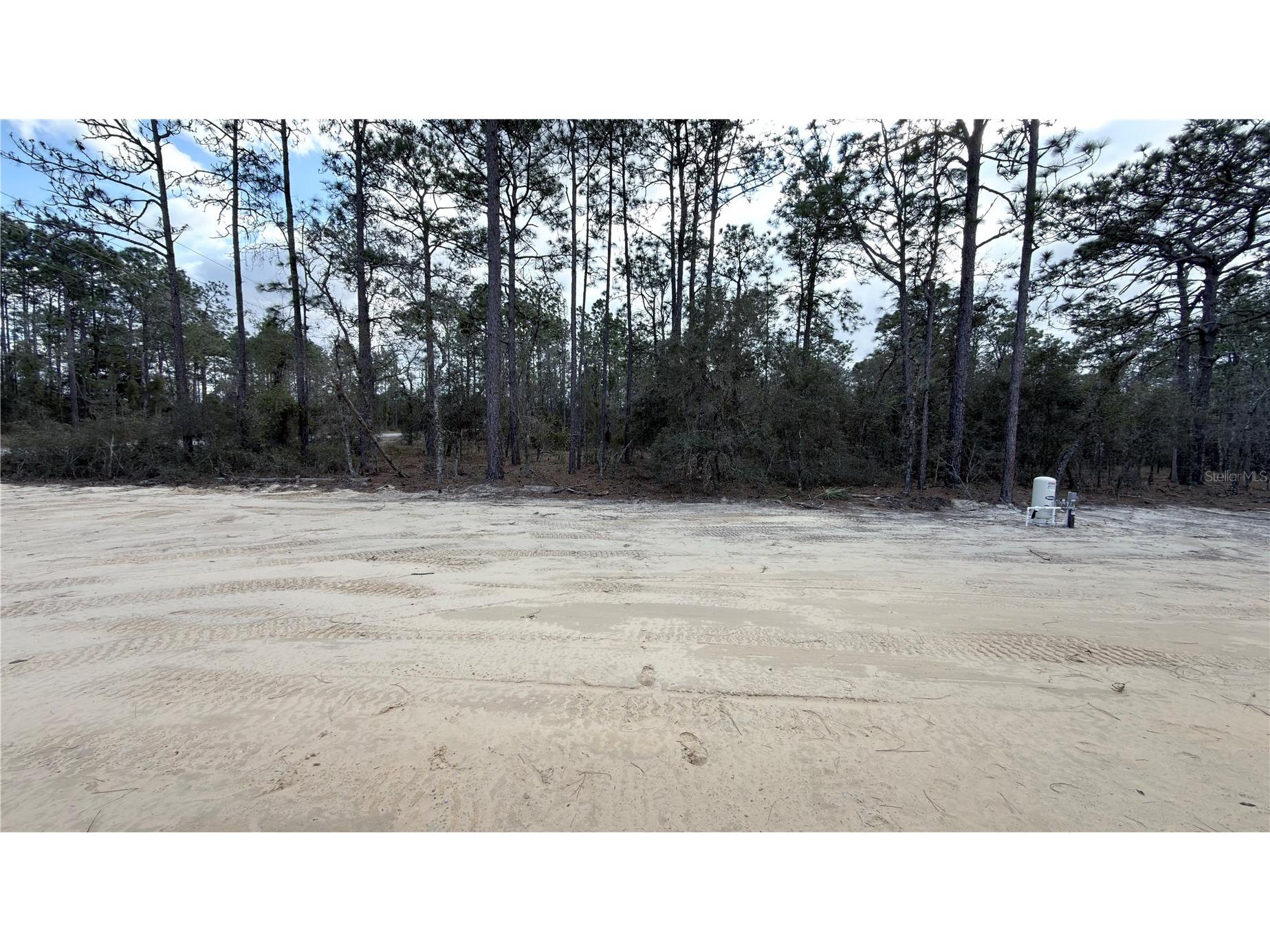 24810 SW Woodland Avenue Dunnellon FL 34431 OM715947 image29