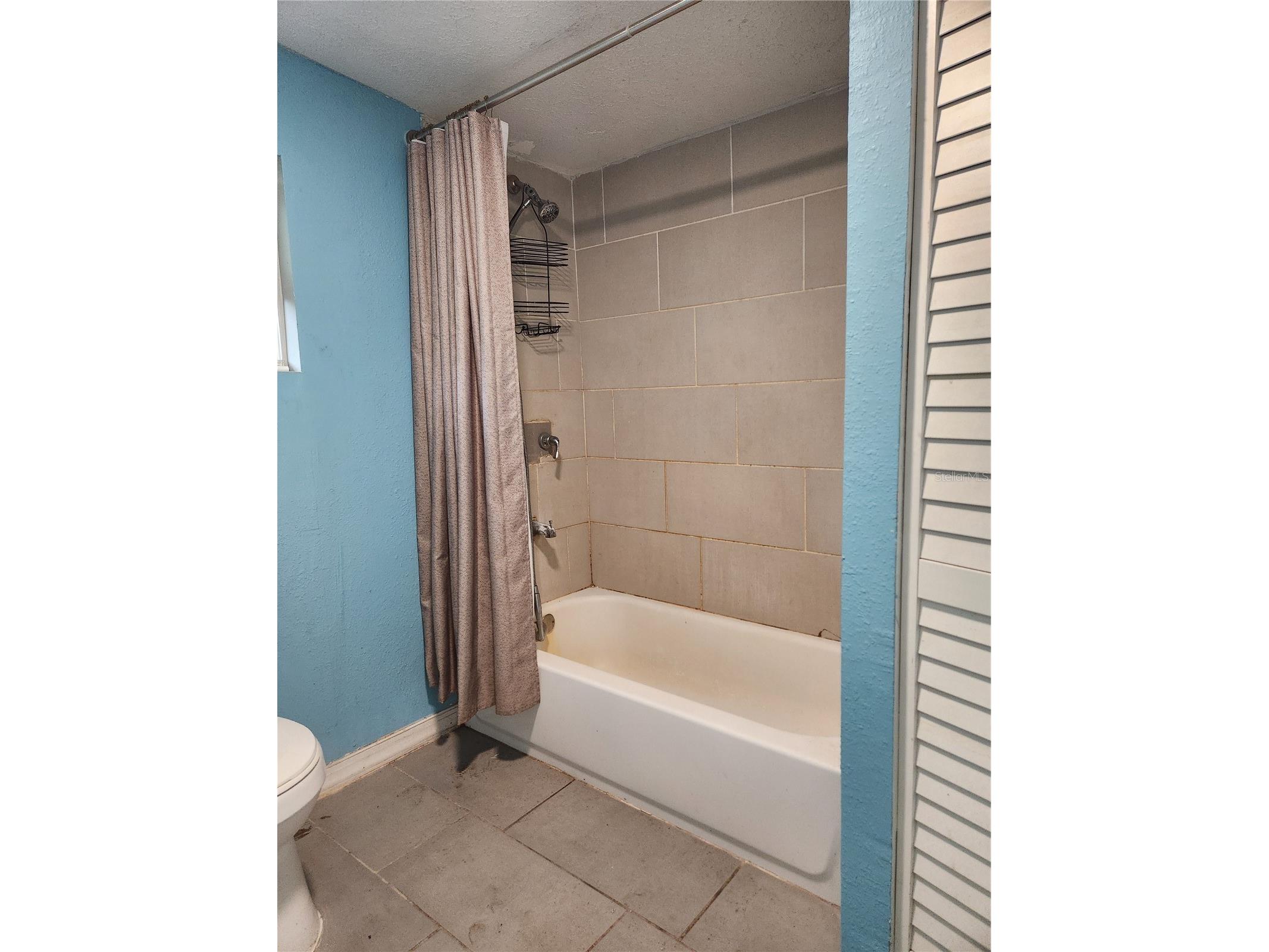 24815 Audrey Road Land O Lakes FL 34639 TB8509285 image17