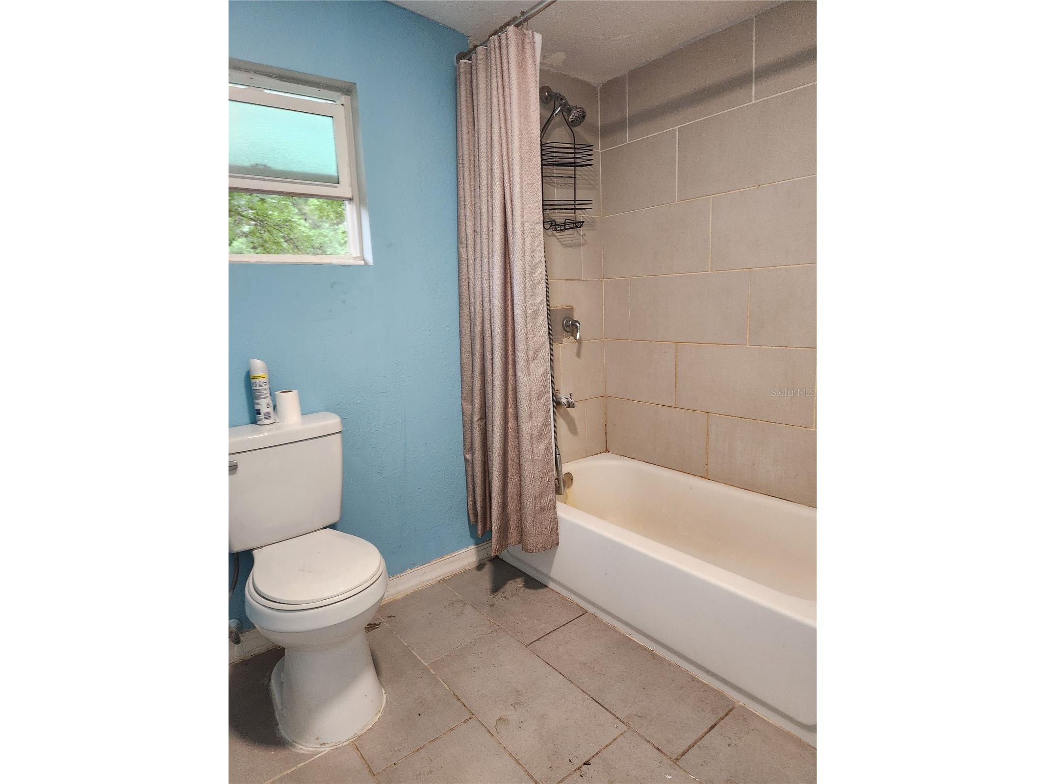 24815 Audrey Road Land O Lakes FL 34639 TB8509285 image18