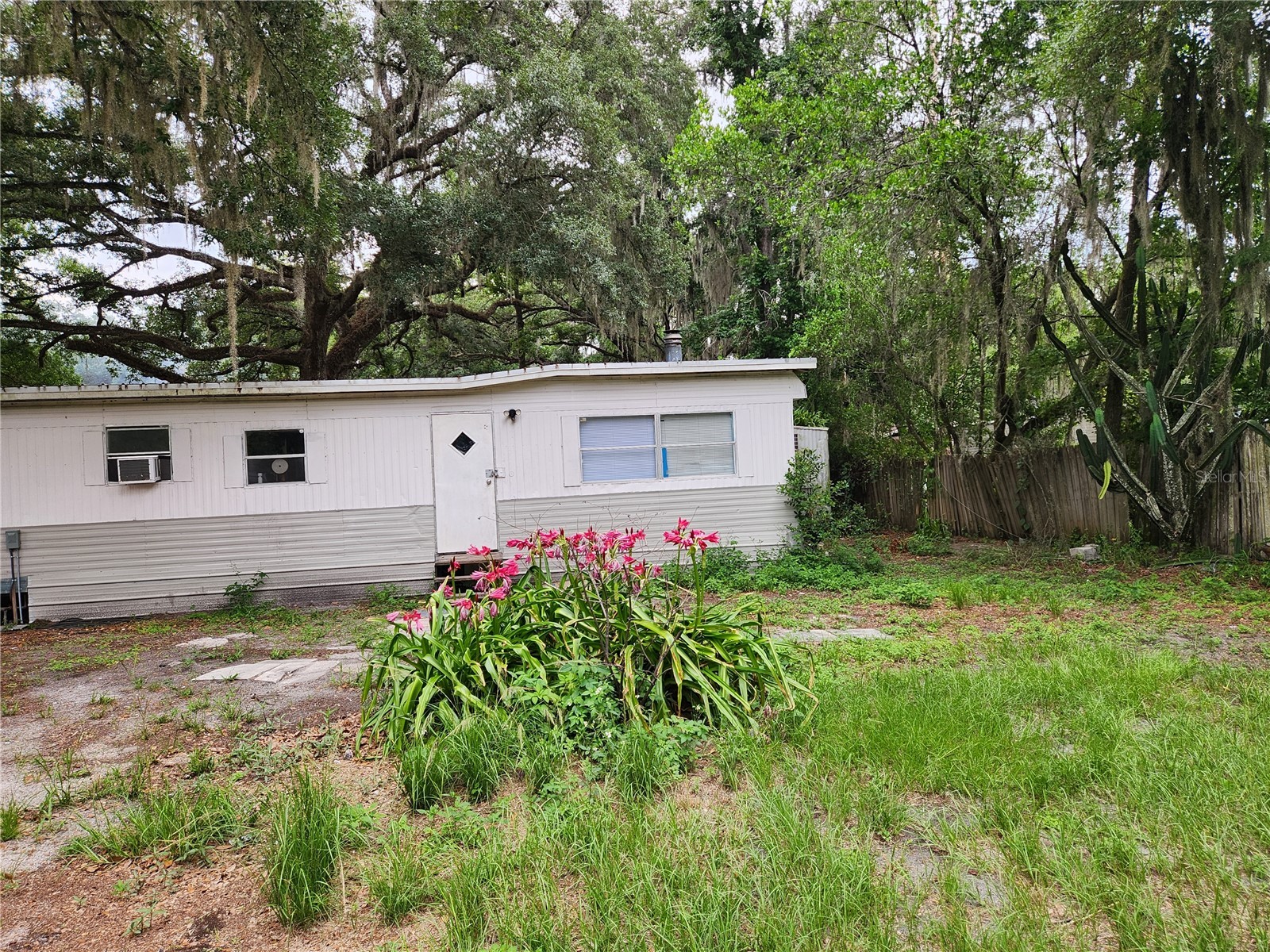 24815 Audrey Road Land O Lakes FL 34639 TB8509285 image2