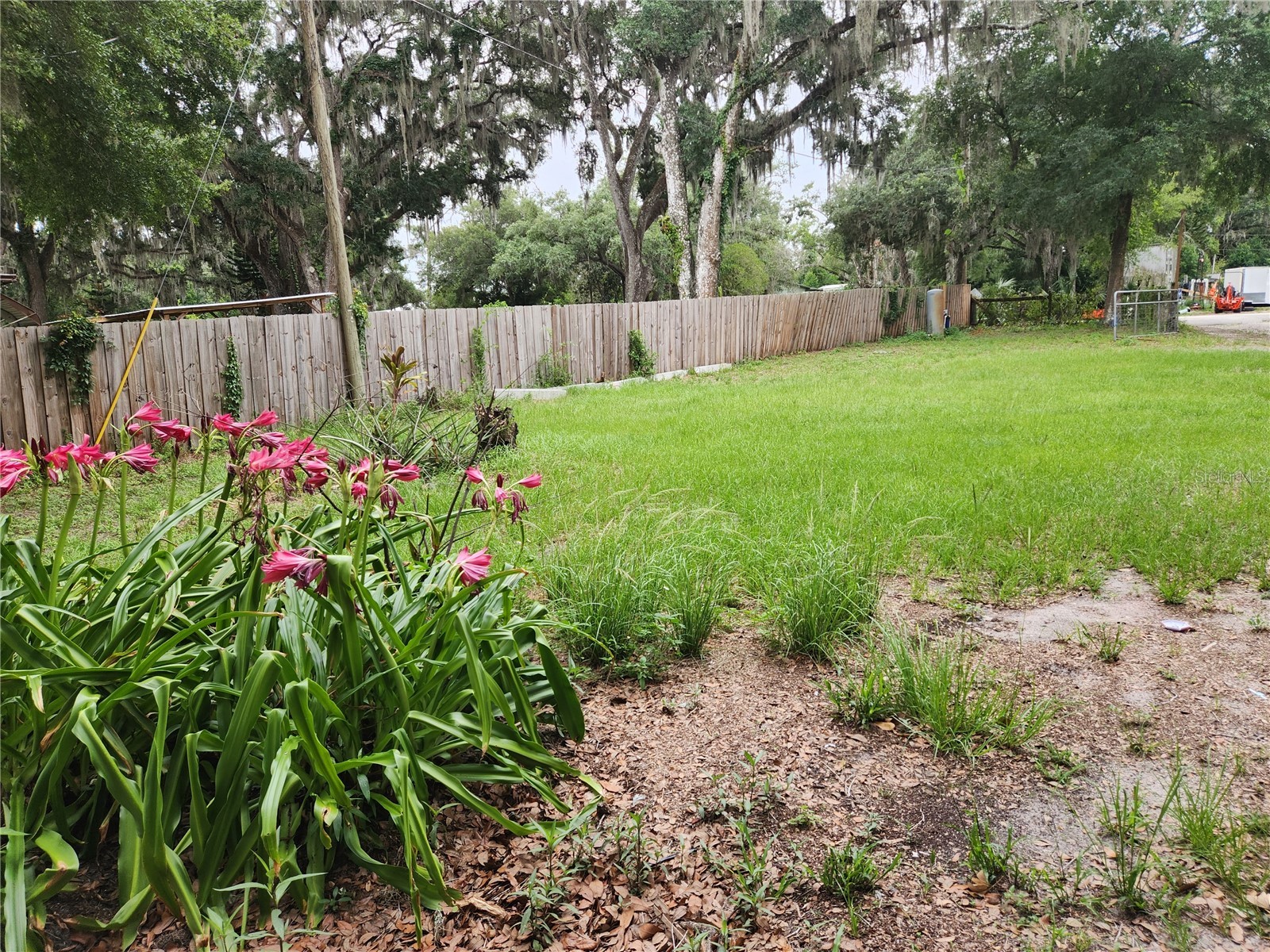 24815 Audrey Road Land O Lakes FL 34639 TB8509285 image25