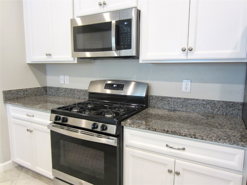 24815 Lambrusco Loop Lutz FL 33559 TB8432203 image12