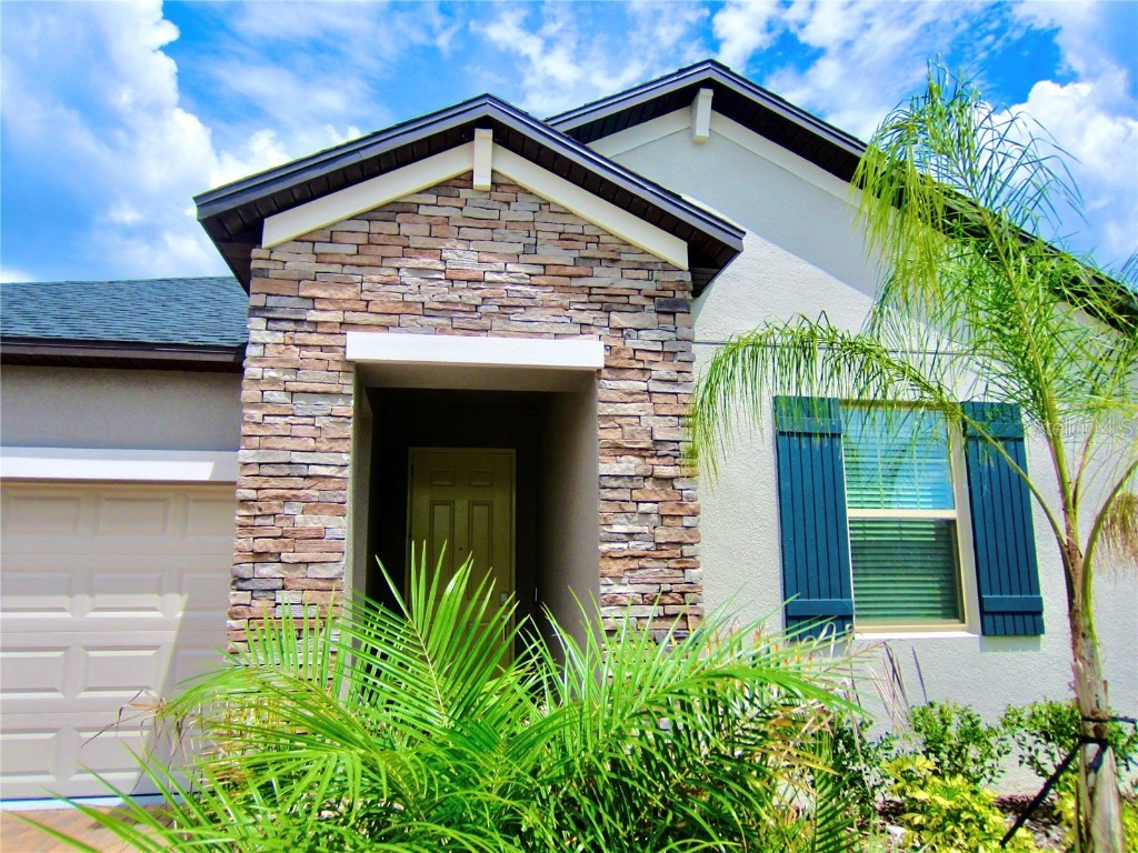 24815 Lambrusco Loop Lutz FL 33559 TB8432203 image2