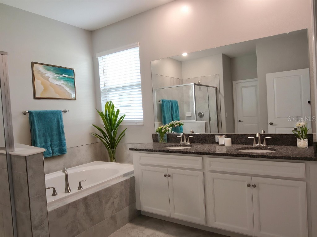 24815 Lambrusco Loop Lutz FL 33559 TB8432203 image24