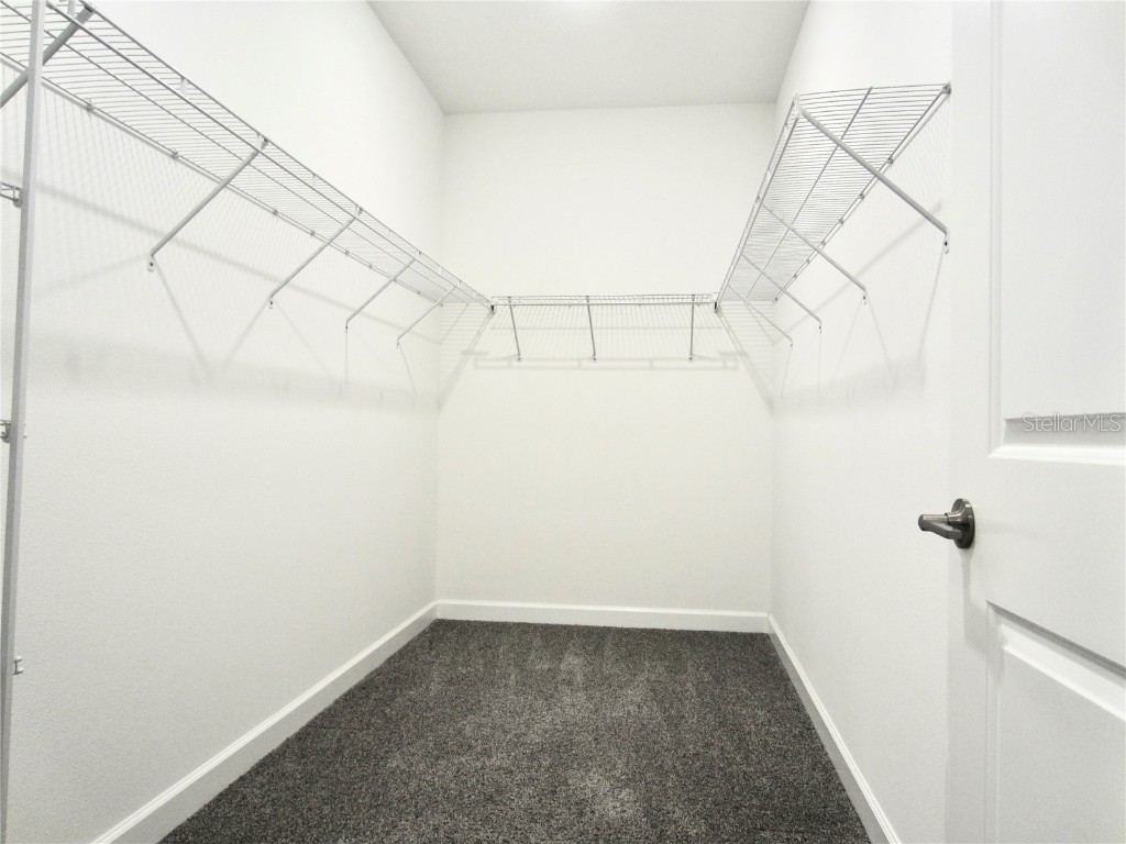 24815 Lambrusco Loop Lutz FL 33559 TB8432203 image27