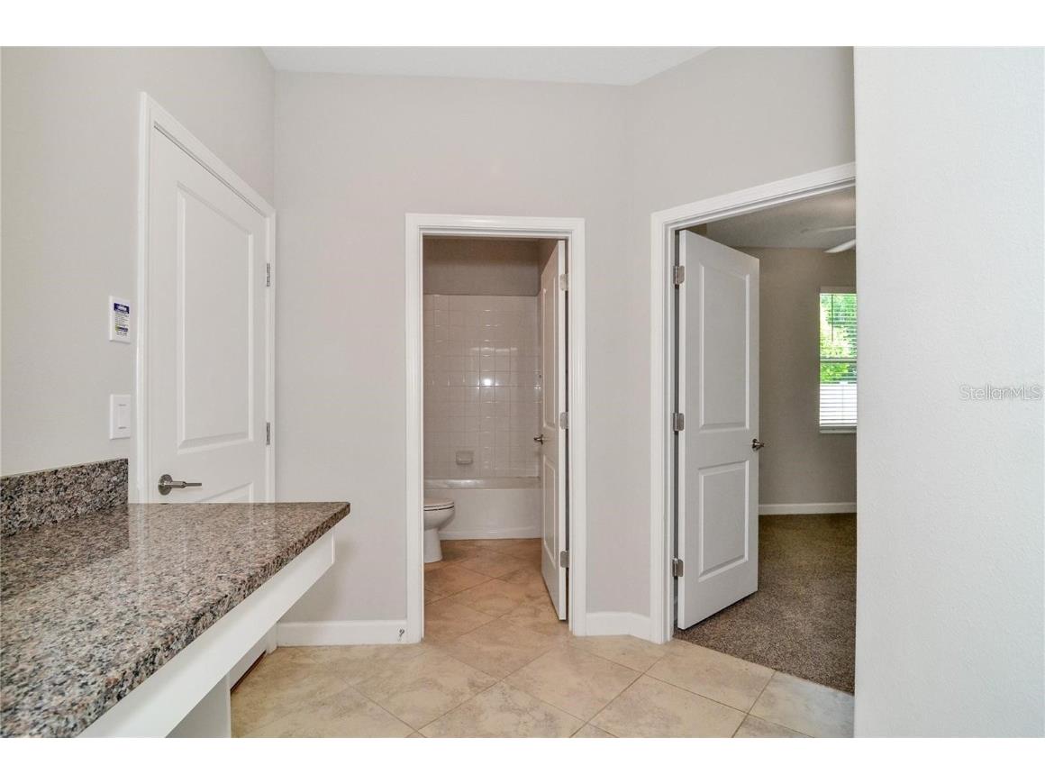 24815 Lambrusco Loop Lutz FL 33559 TB8432203 image28