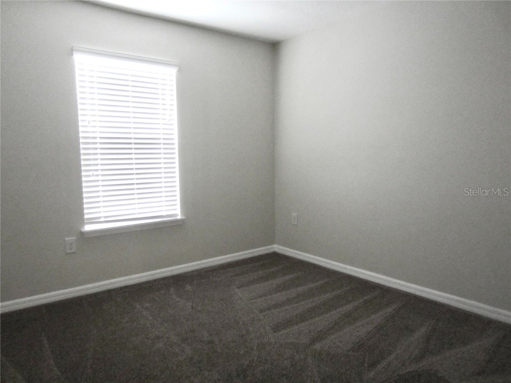 24815 Lambrusco Loop Lutz FL 33559 TB8432203 image30