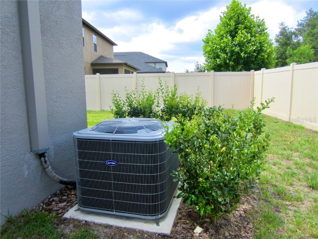 24815 Lambrusco Loop Lutz FL 33559 TB8432203 image41