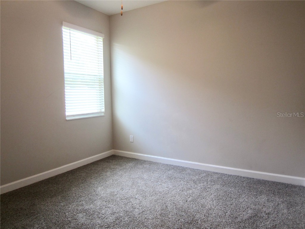 24815 Lambrusco Loop Lutz FL 33559 TB8432203 image7