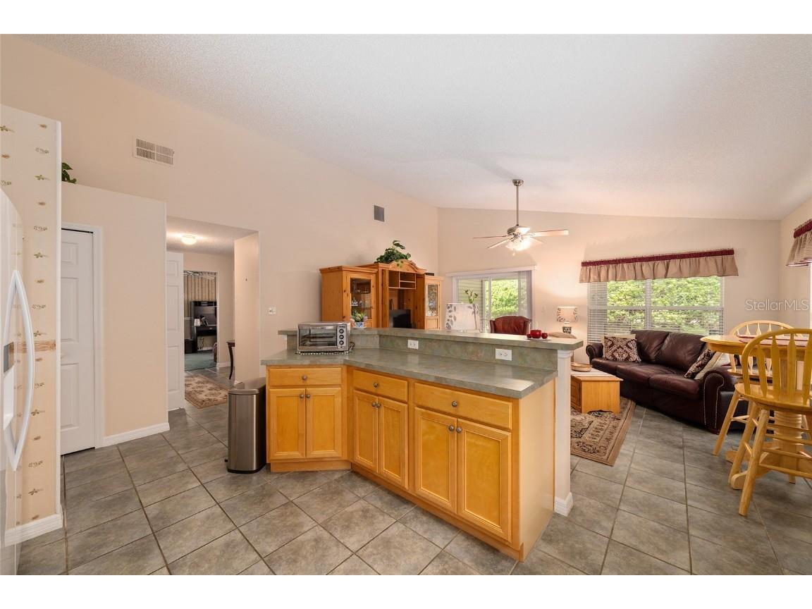 24817 Cranes Roost Circle Leesburg FL 34748 W7879360 image19
