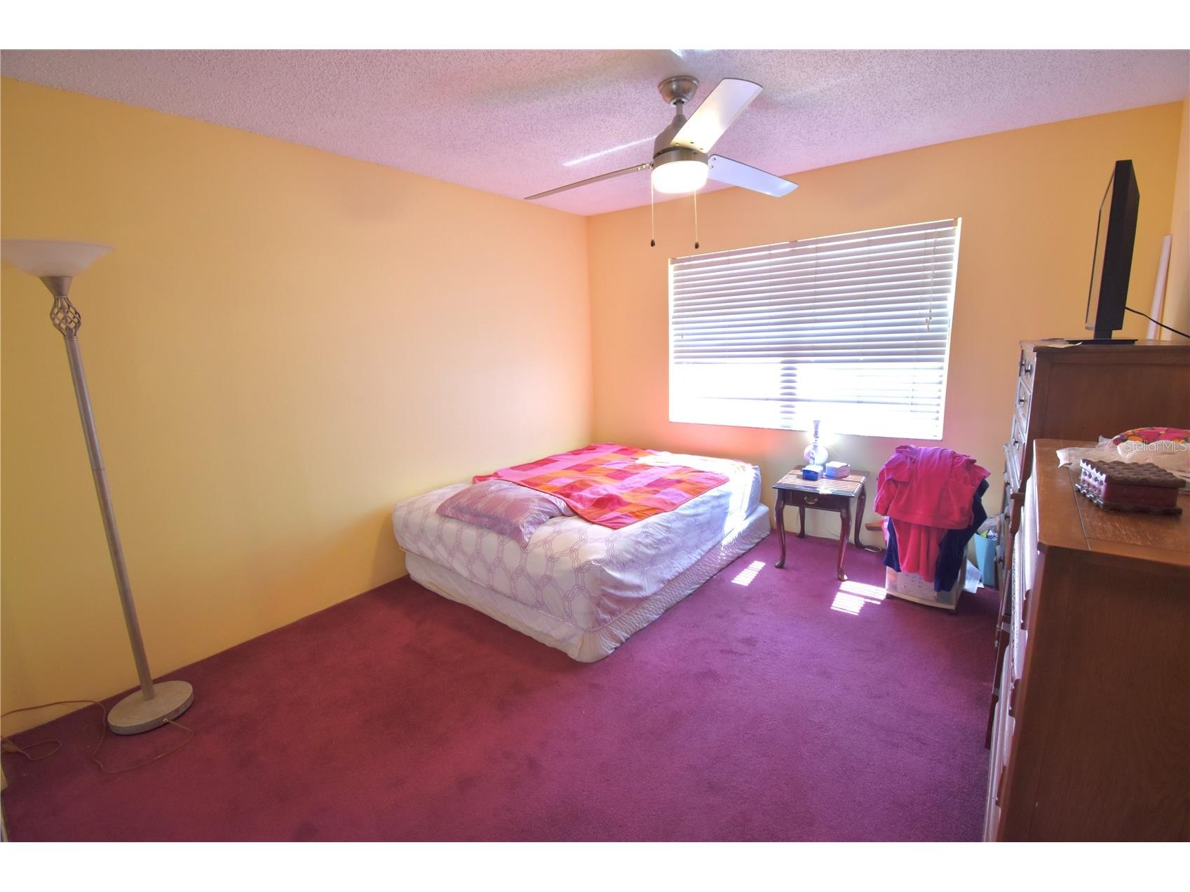 2482 Enterprise Road #2 Clearwater FL 33763 A4683526 image14