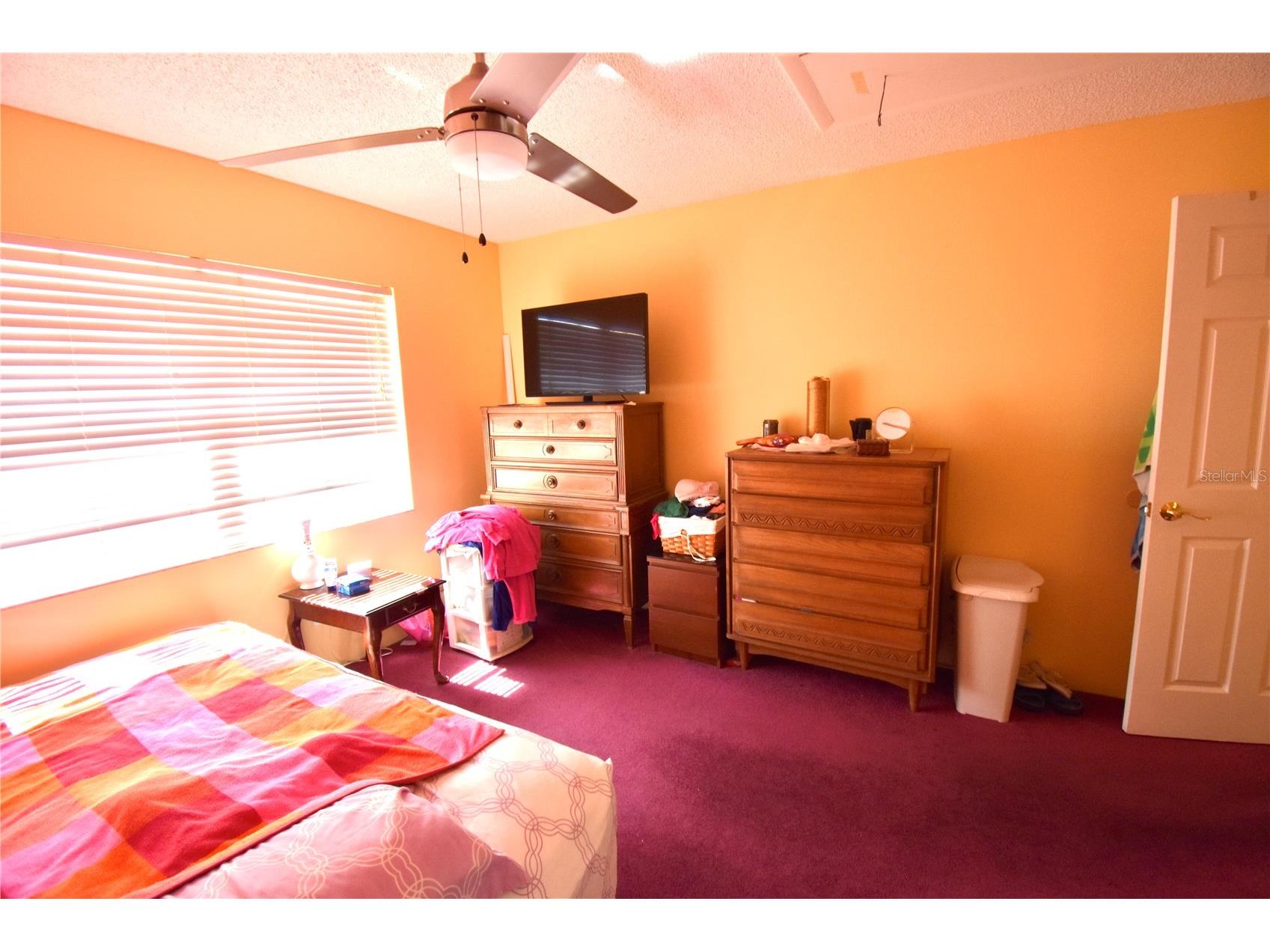 2482 Enterprise Road #2 Clearwater FL 33763 A4683526 image15