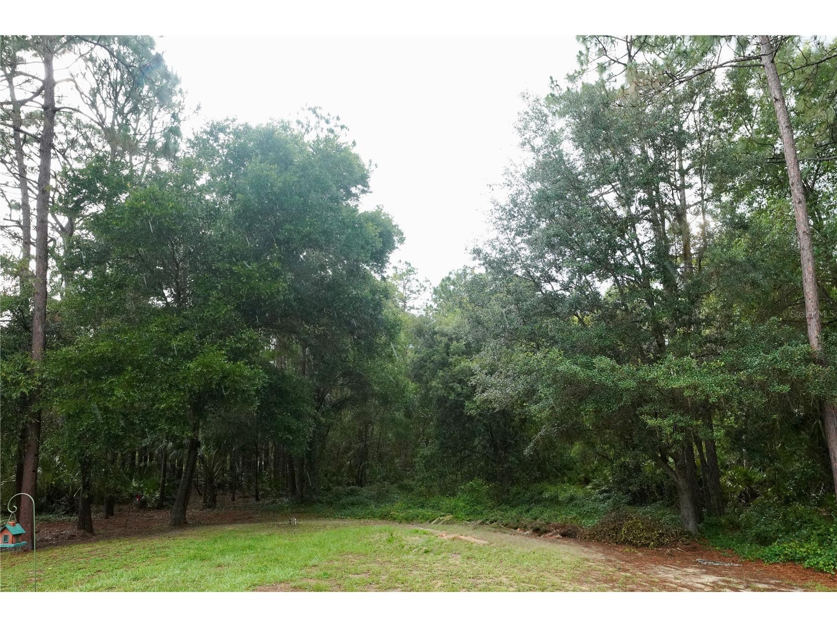 2482 S Wakulla Point Homosassa FL 34448 TB8513489 image21