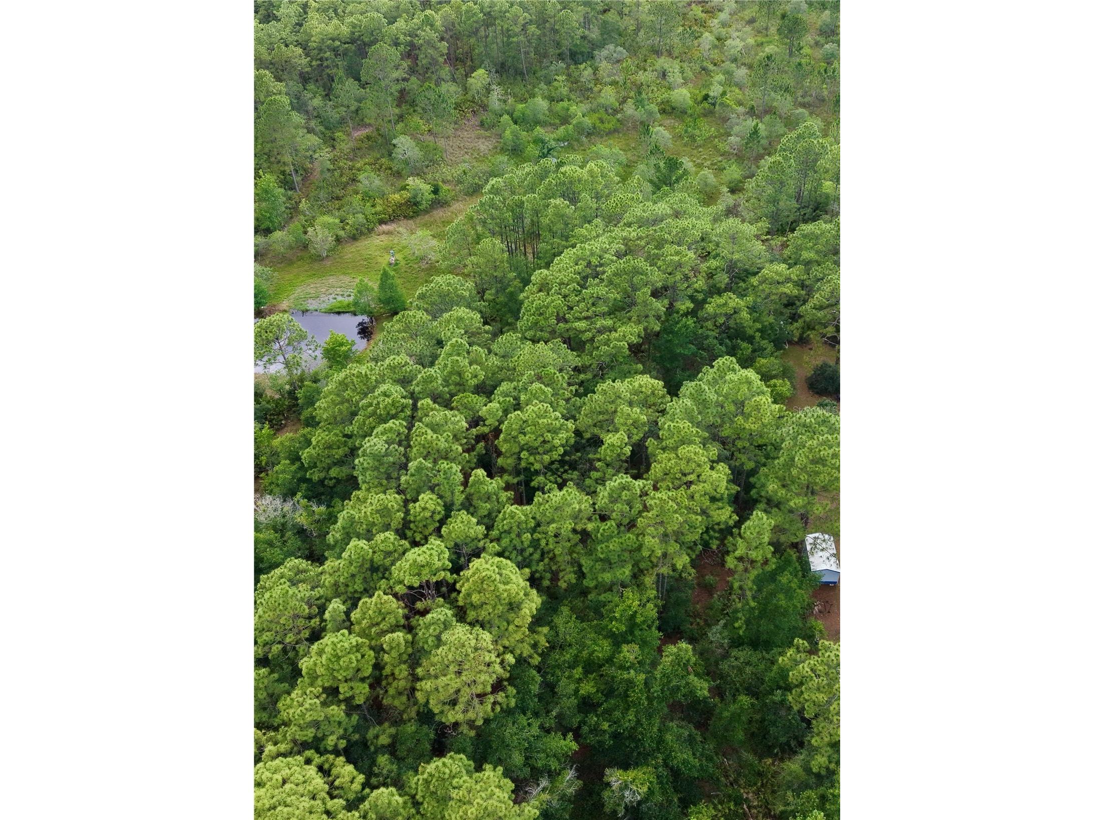 2482 S Wakulla Point Homosassa FL 34448 TB8513489 image27