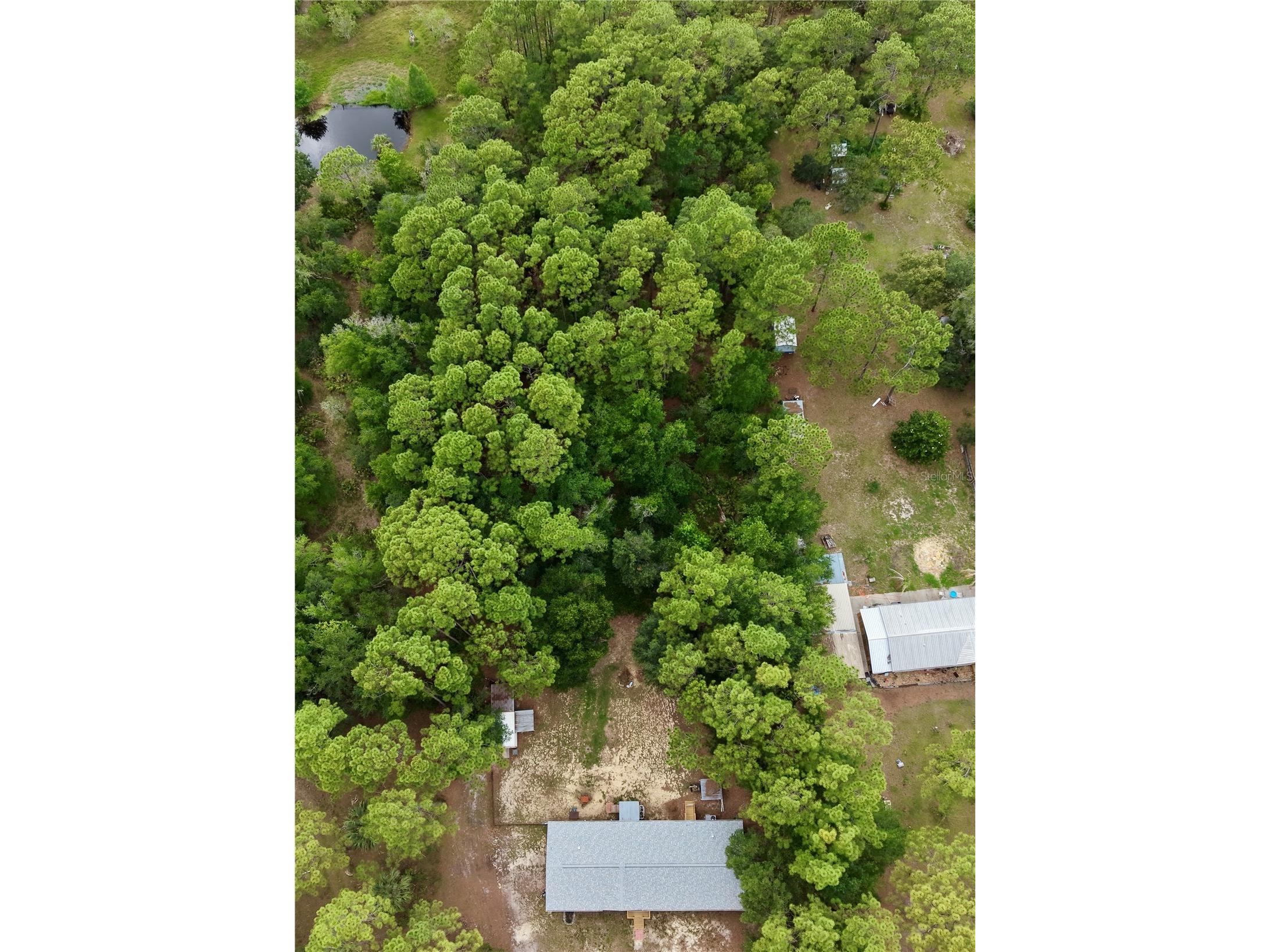 2482 S Wakulla Point Homosassa FL 34448 TB8513489 image28