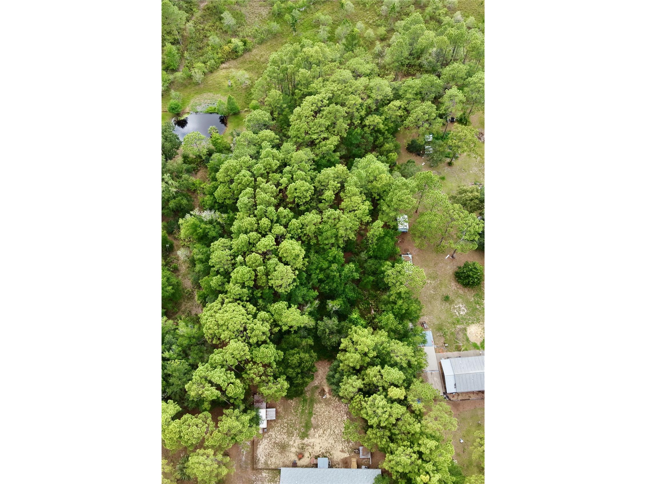 2482 S Wakulla Point Homosassa FL 34448 TB8513489 image29