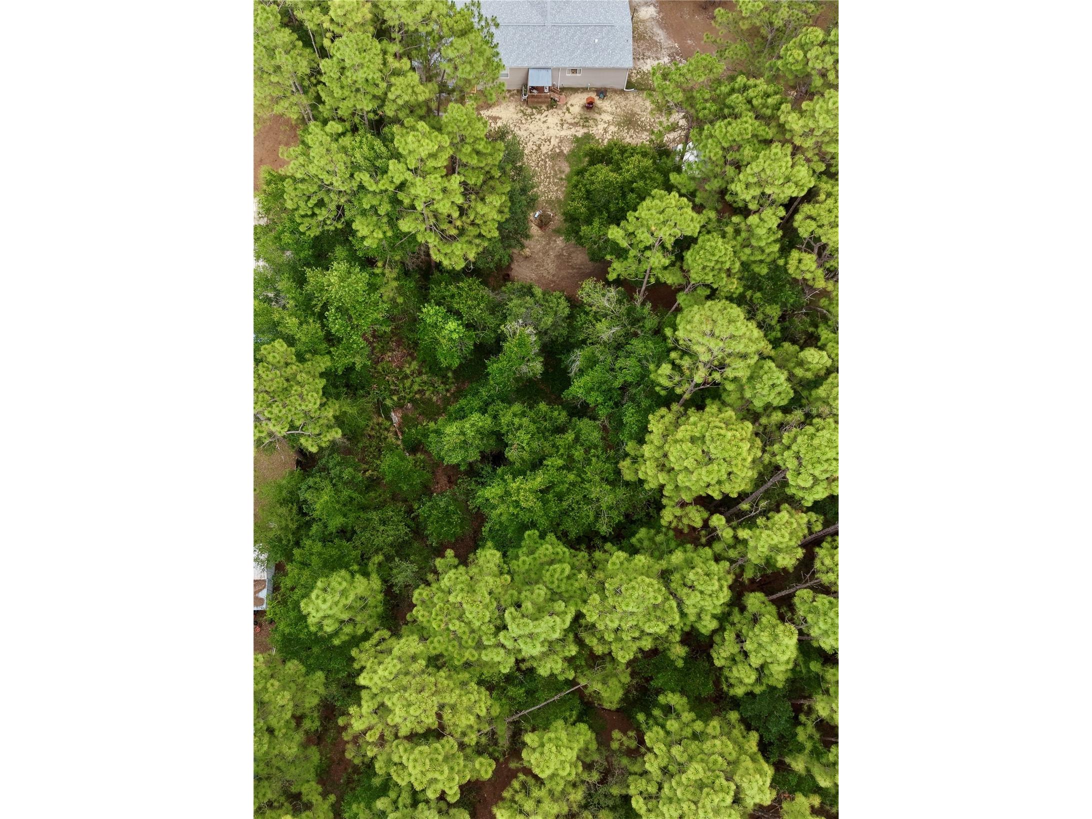 2482 S Wakulla Point Homosassa FL 34448 TB8513489 image31