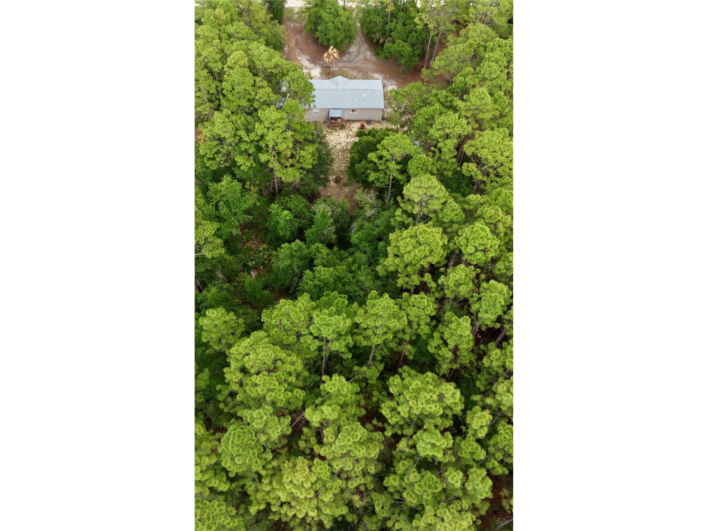 2482 S Wakulla Point Homosassa FL 34448 TB8513489 image32