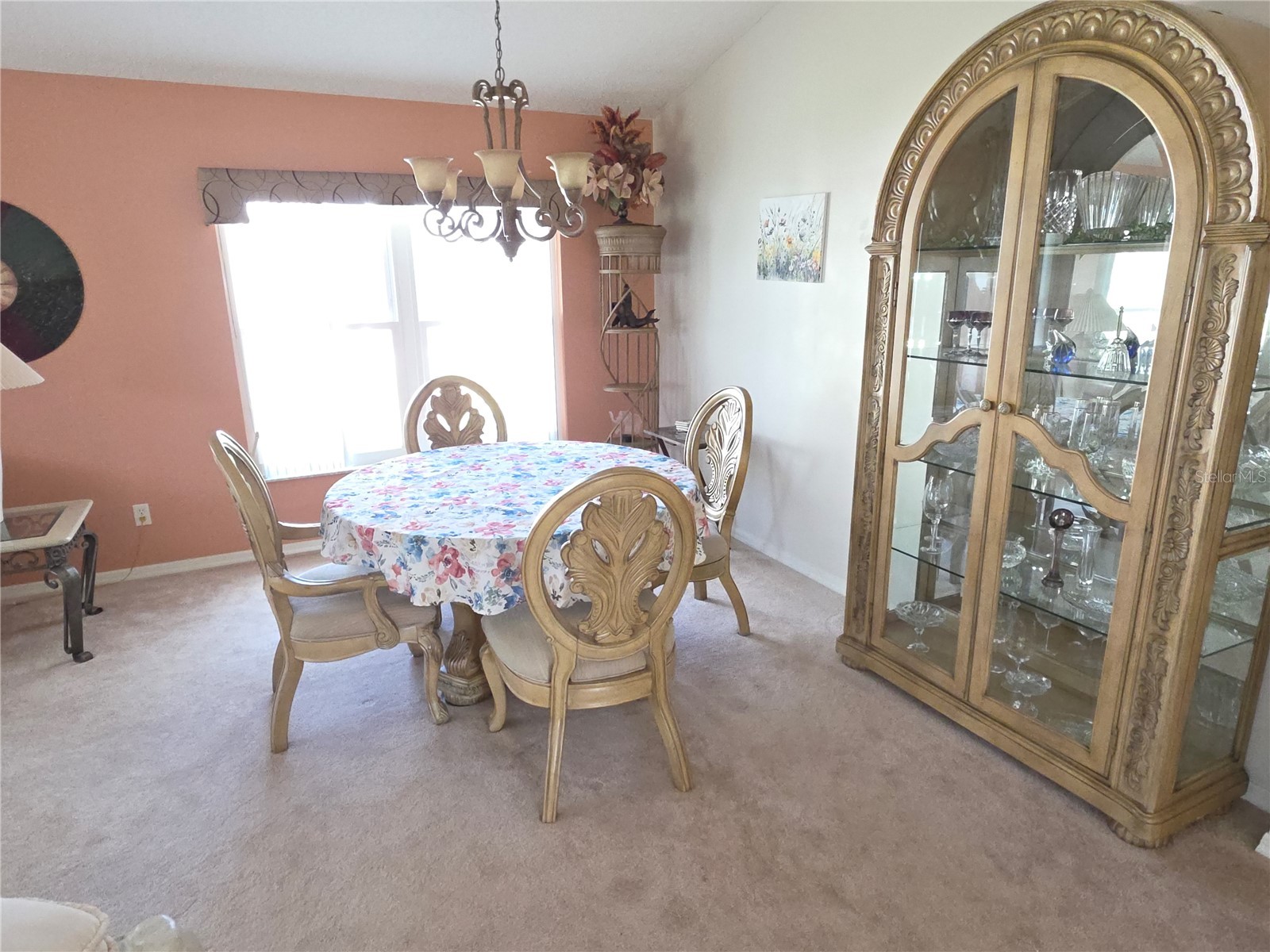 2482 Silkwood Court Spring Hill FL 34606 W7883734 image13