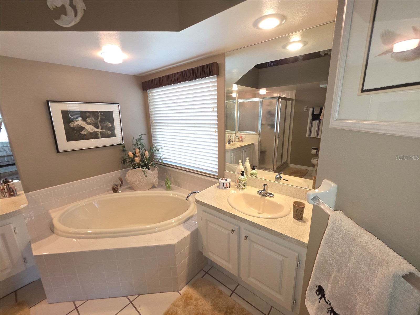 2482 Silkwood Court Spring Hill FL 34606 W7883734 image20