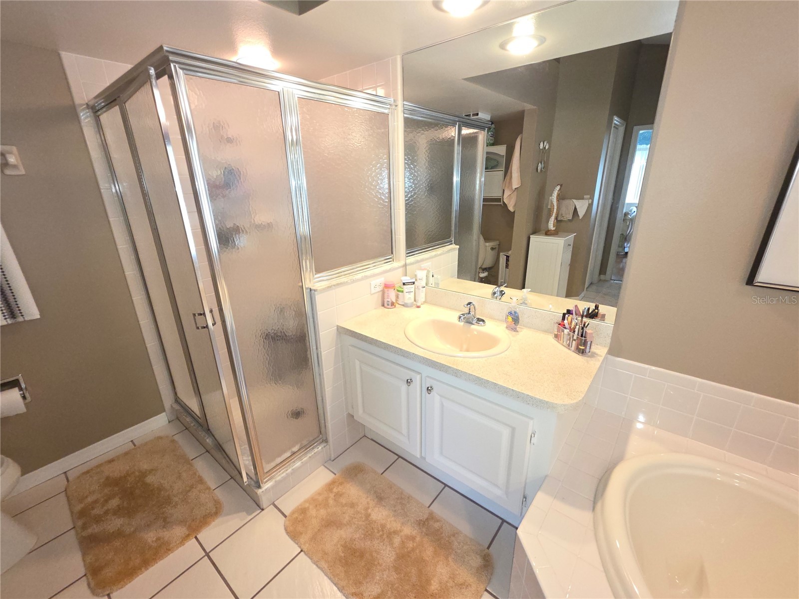 2482 Silkwood Court Spring Hill FL 34606 W7883734 image22