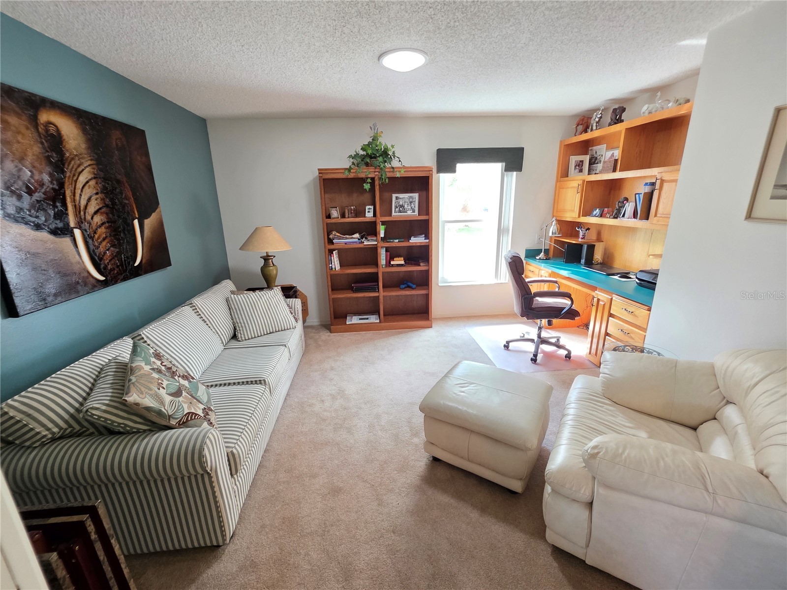 2482 Silkwood Court Spring Hill FL 34606 W7883734 image3