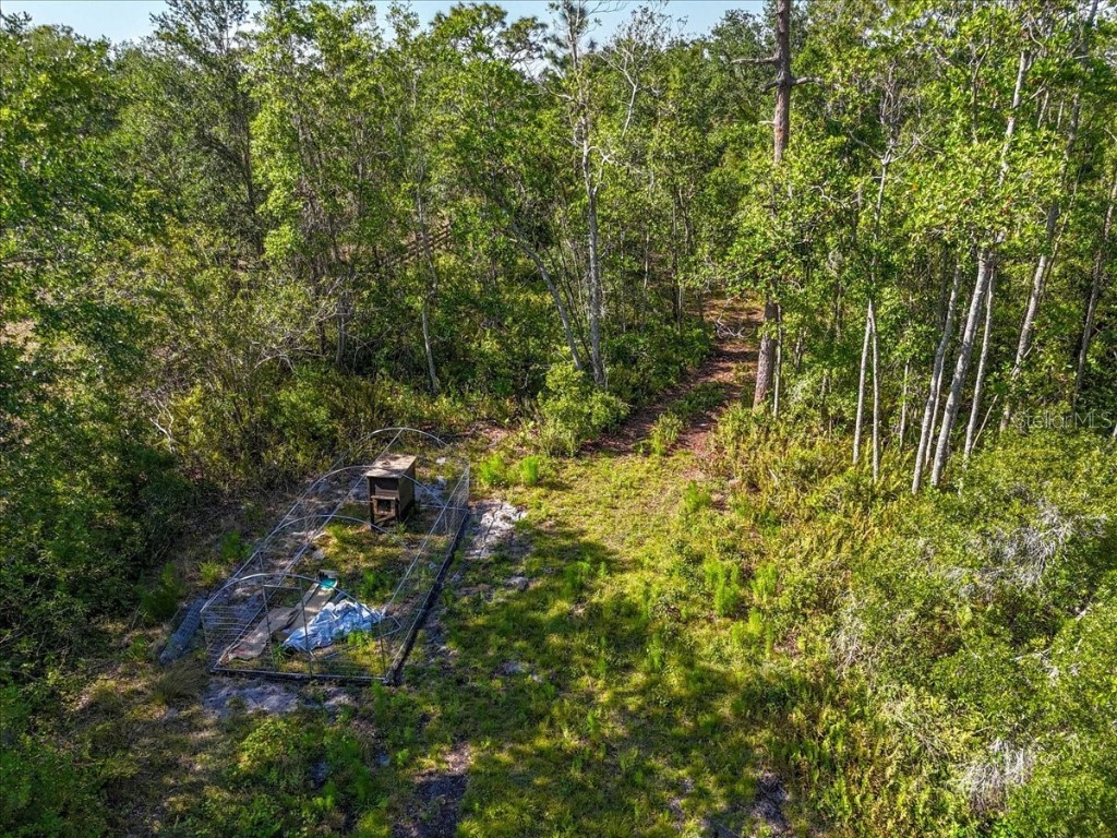 24820 49th Avenue E Myakka City FL 34251 A4649418 image12