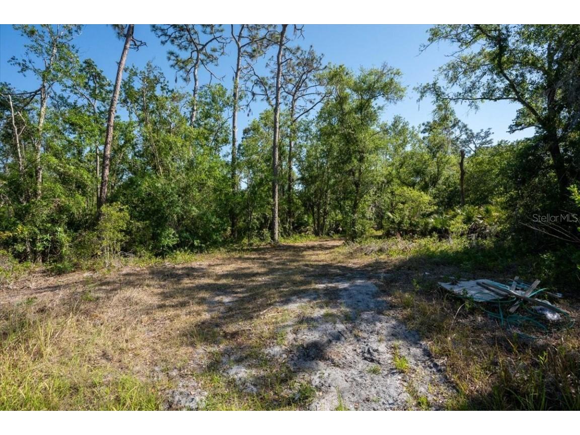 24820 49th Avenue E Myakka City FL 34251 A4649418 image16