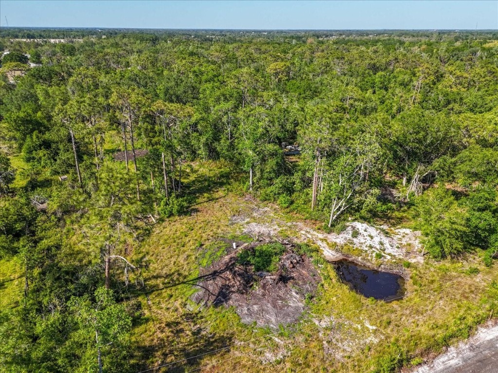 24820 49th Avenue E Myakka City FL 34251 A4649418 image9