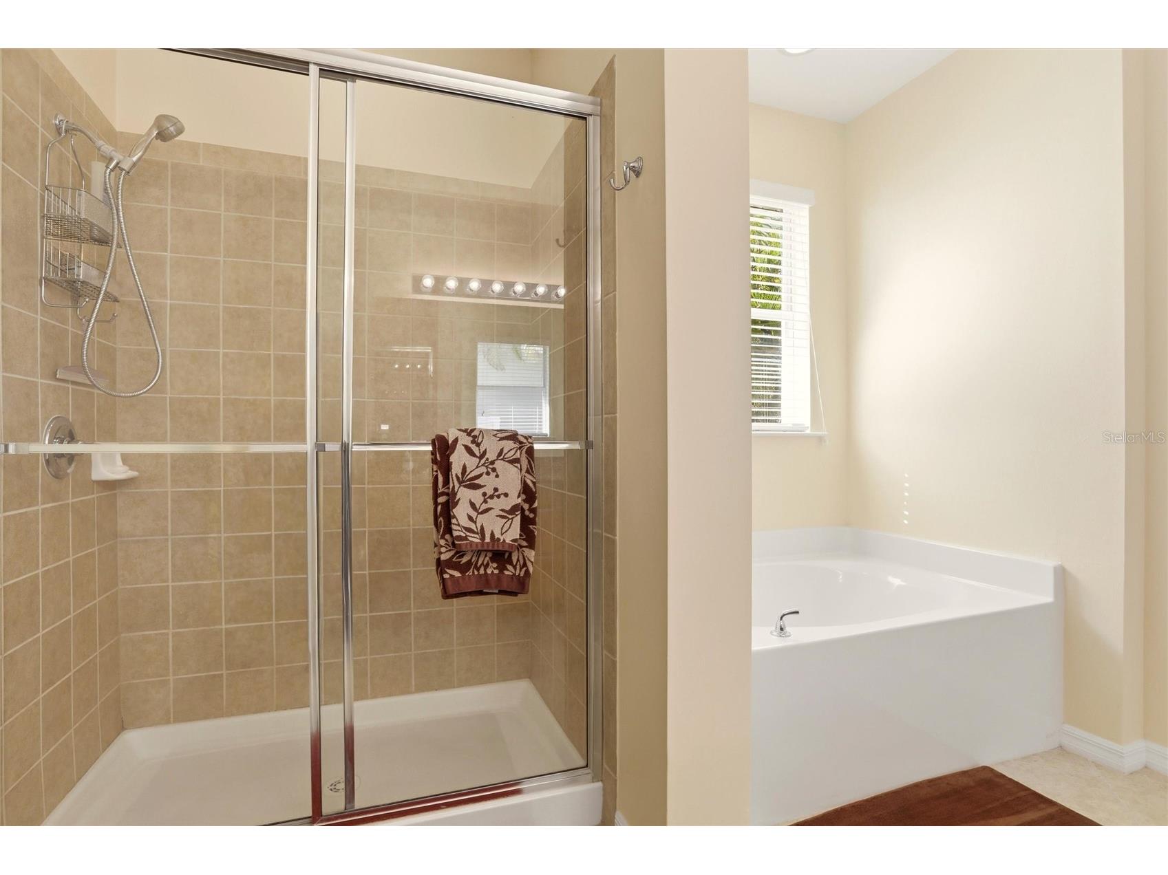 24827 Rio Villa Lakes Circle Punta Gorda FL 33950 C7524115 image24