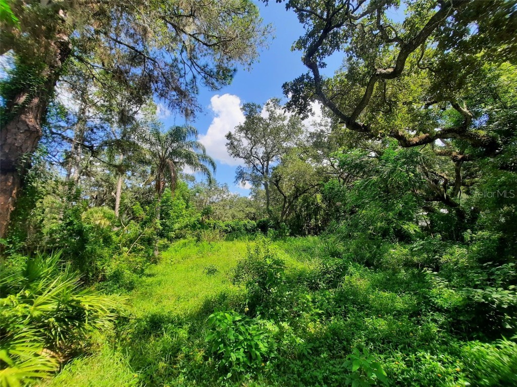 2483 Navarez Avenue Safety Harbor FL 34695 - OLD TAMPA BAY U8212822 image1