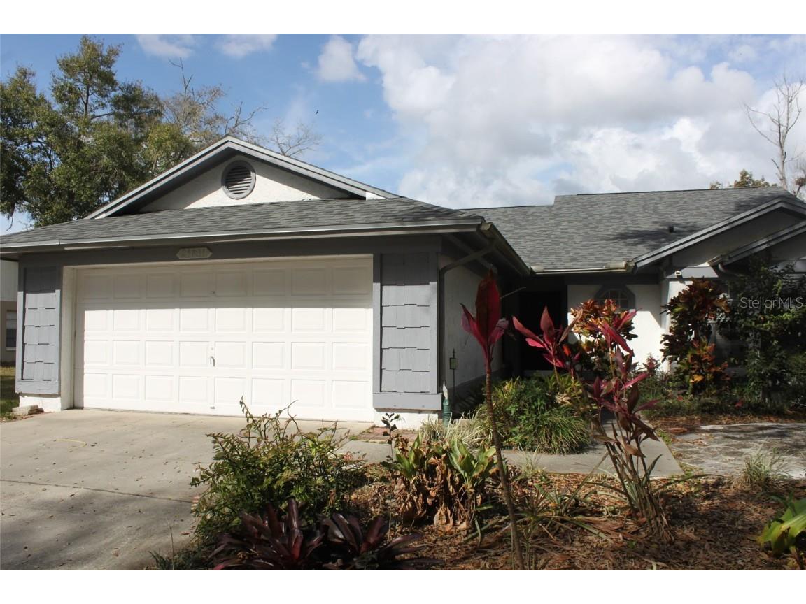24831 Silversmith Drive Lutz FL 33559 T3429210 image1
