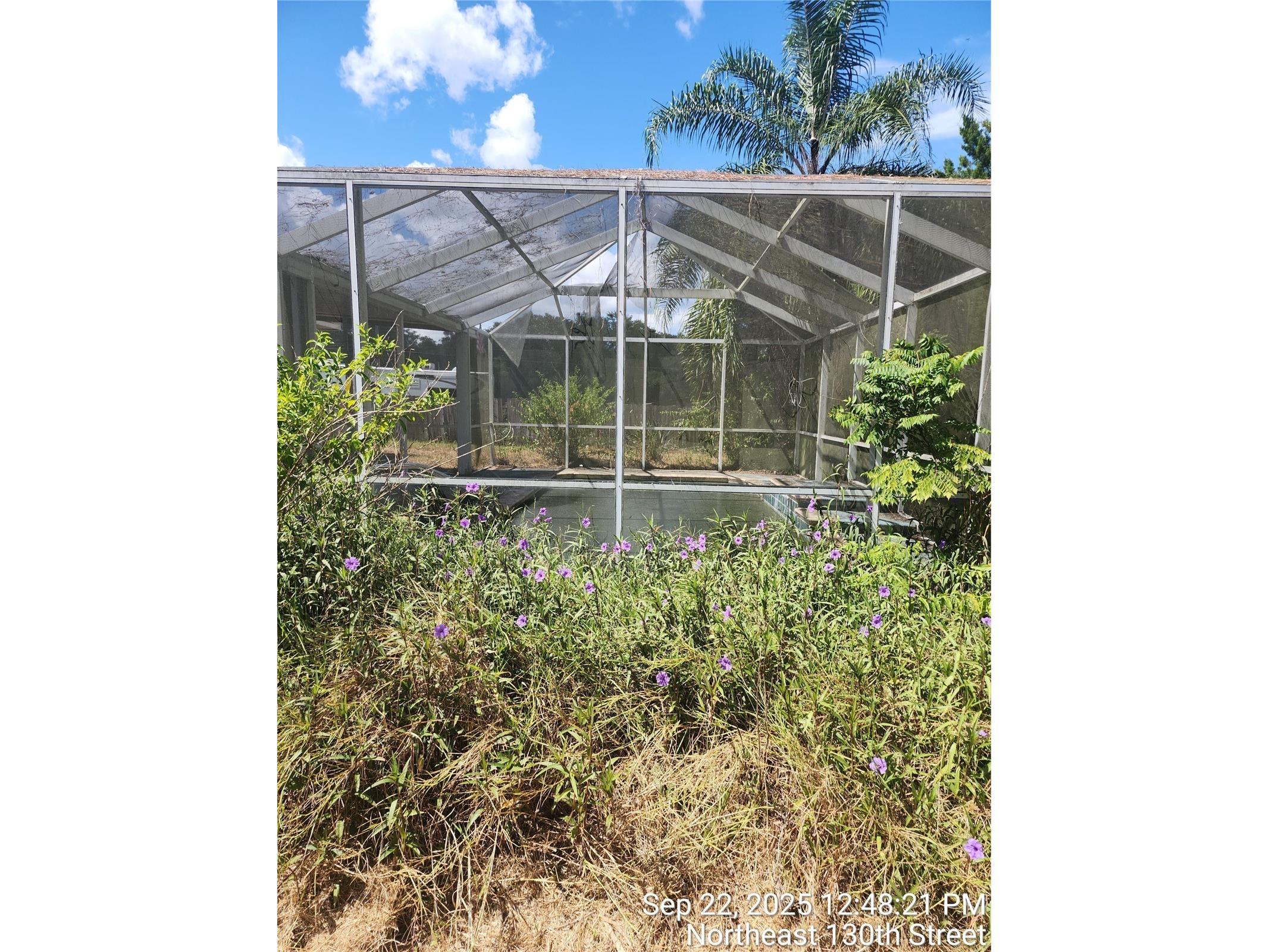 24839 NE 130th Street Fort Mc Coy FL 32134 OM710382 image15