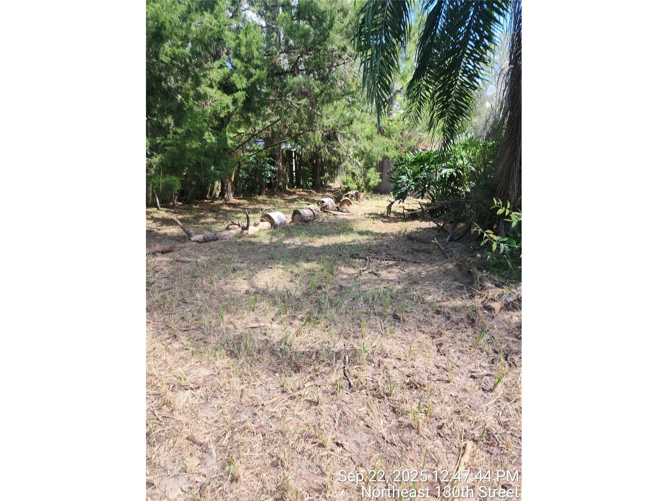 24839 NE 130th Street Fort Mc Coy FL 32134 OM710382 image19