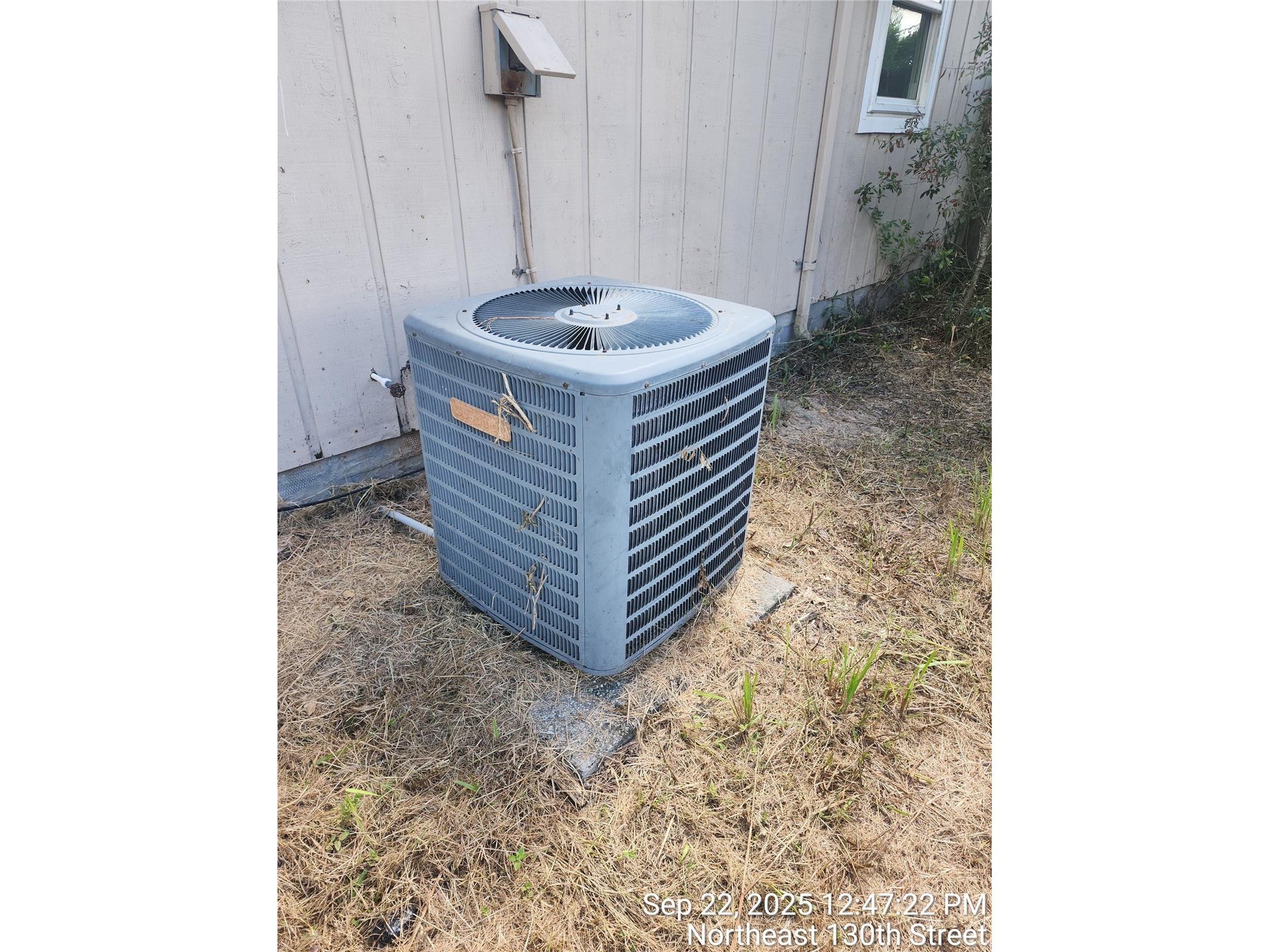 24839 NE 130th Street Fort Mc Coy FL 32134 OM710382 image23