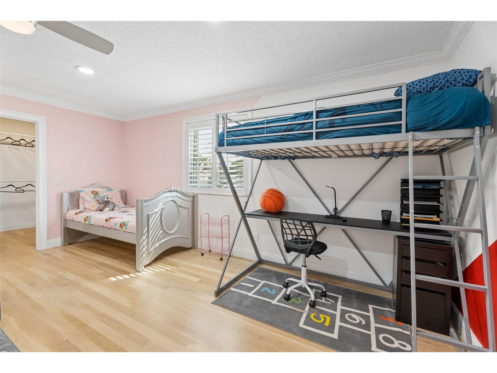 2484 Albany Drive Kissimmee FL 34758 S5151834 image38