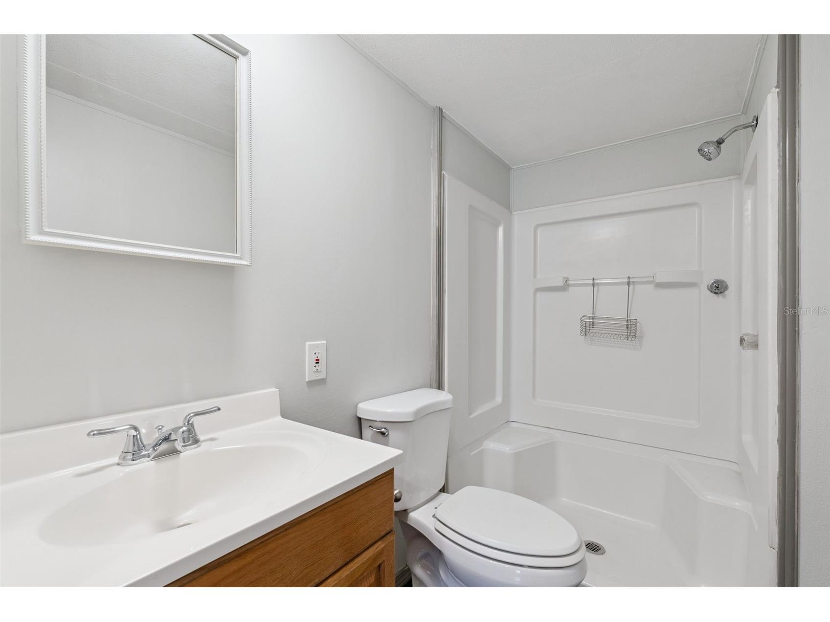 2484 Gator Lane Groveland FL 34736 O6411028 image14