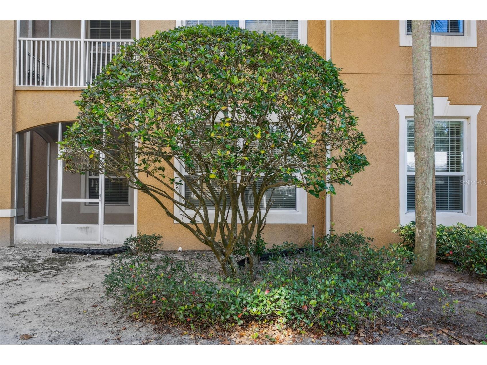 2484 San Tecla Street #105 Orlando FL 32835 O6412534 image24
