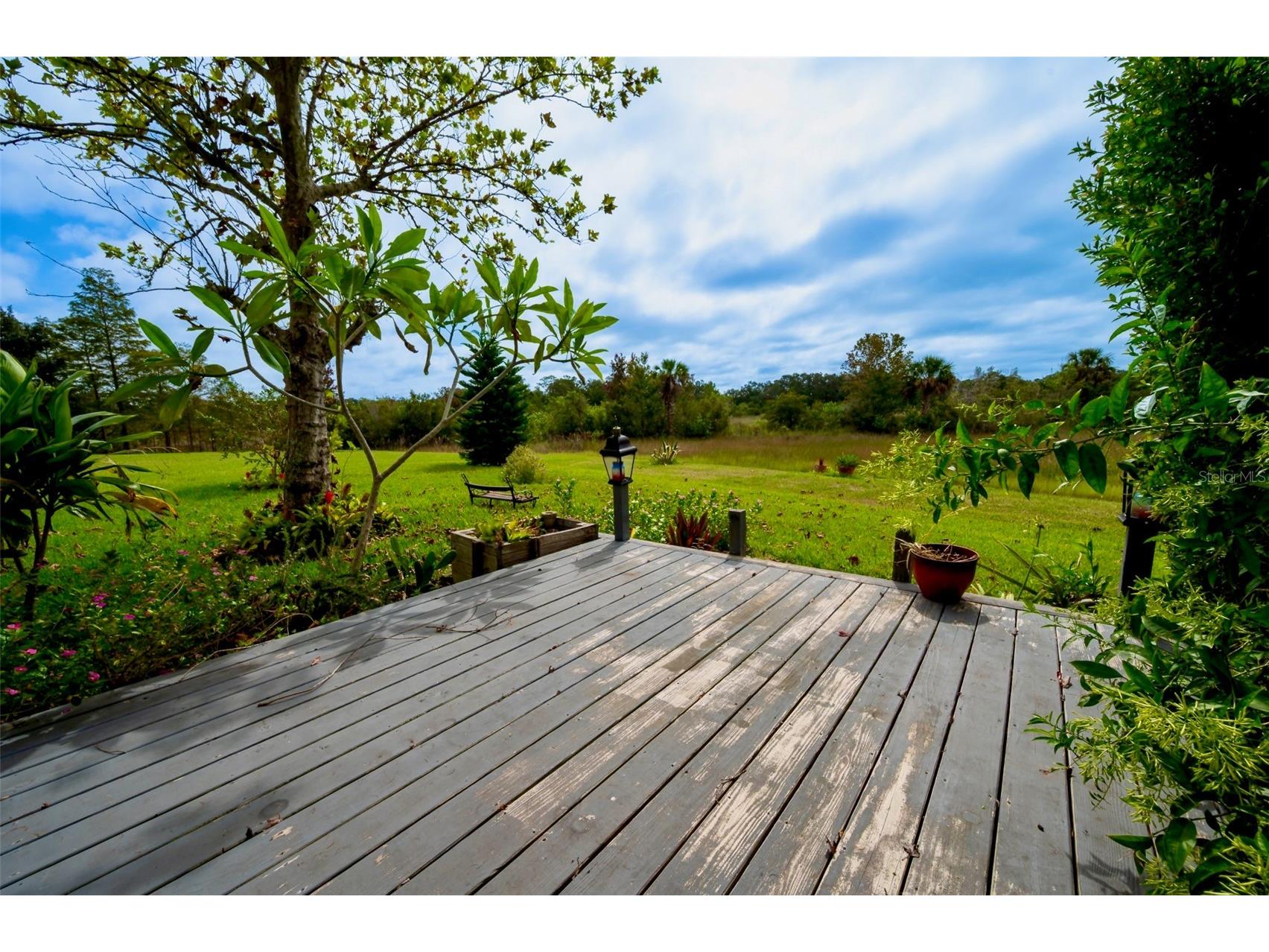 24841 Pine Hill Leesburg FL 34748 O6351403 image40