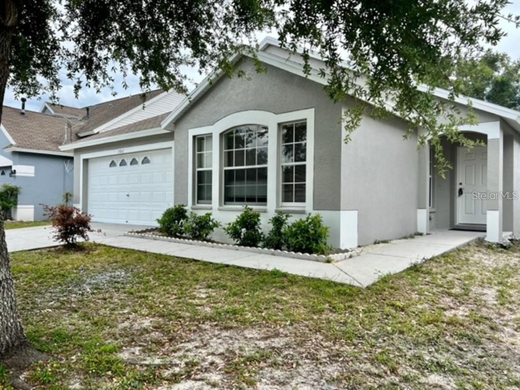 24842 Siena Drive Lutz FL 33559 T3427998 image1