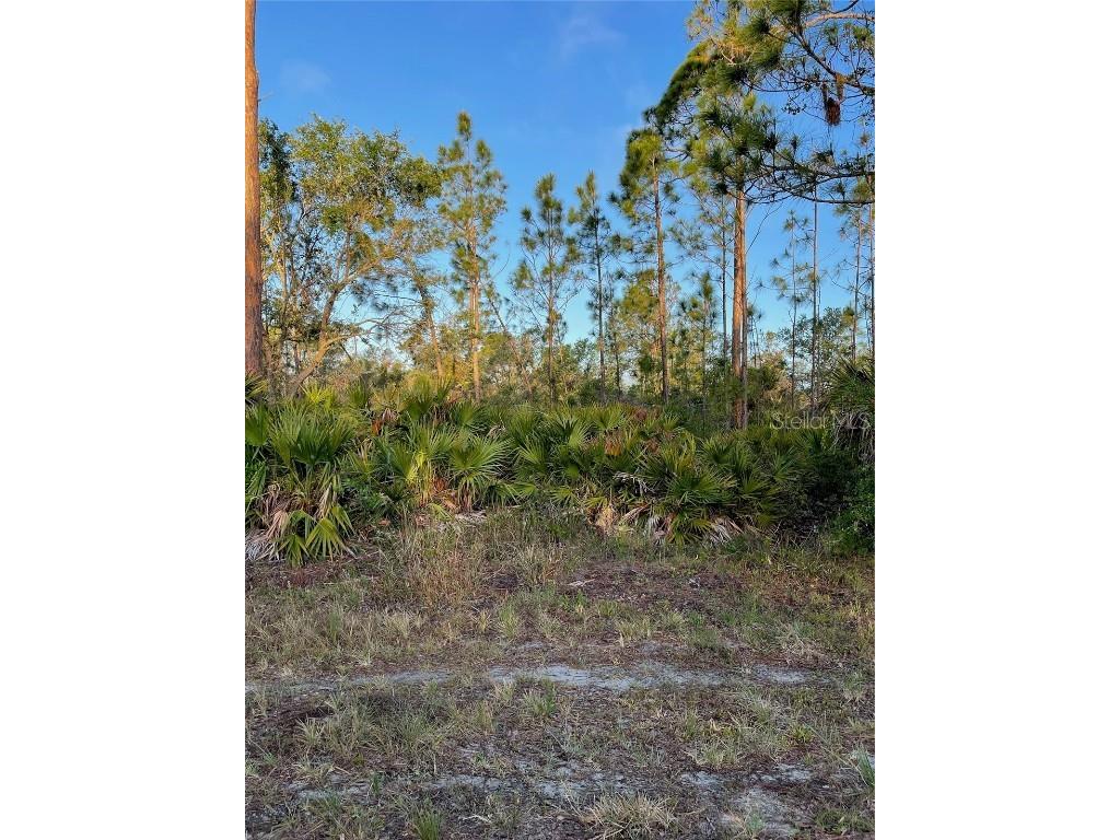 2485 Hilton Street Port Charlotte FL 33948 A4566829 image1