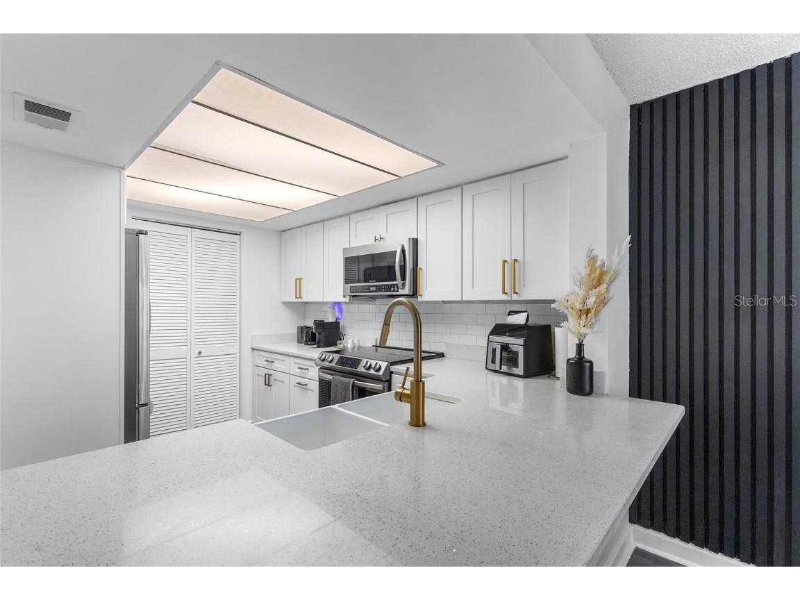 2485 Lakeway Branch Drive #2105 Orlando FL 32839 O6316618 image4