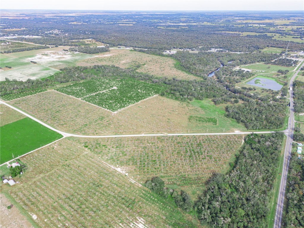 2485 S Florida Avenue Wauchula FL 33873 L4957331 image11