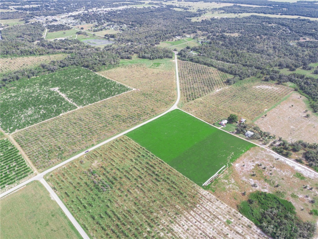 2485 S Florida Avenue Wauchula FL 33873 L4957331 image13