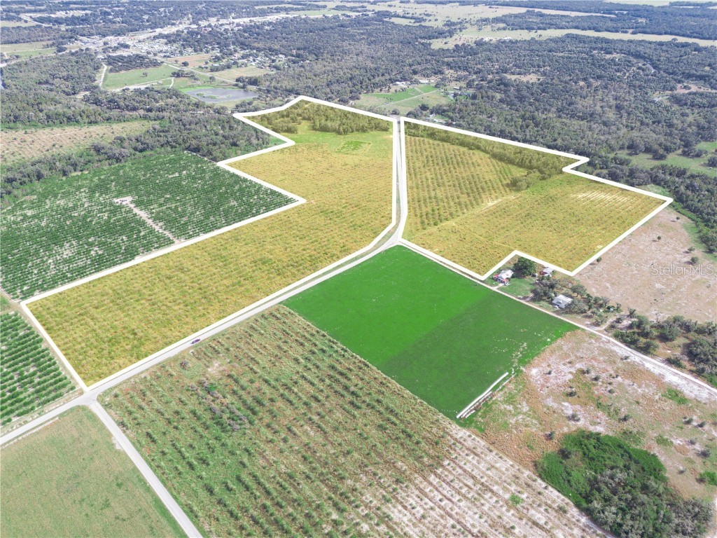 2485 S Florida Avenue Wauchula FL 33873 L4957331 image5